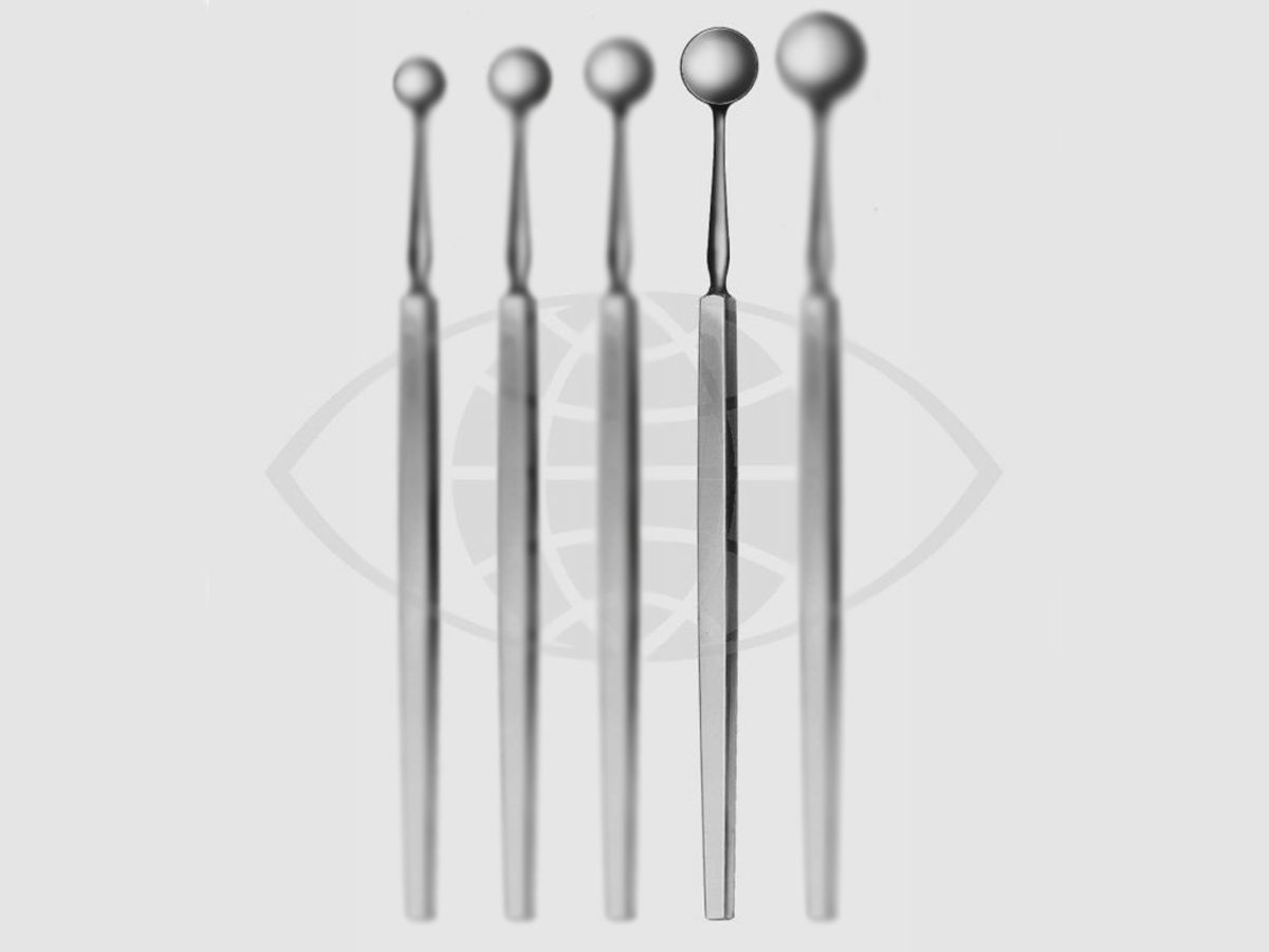 Bunge Curette pour éviscération - Pointue - 10 mm - 1 pc