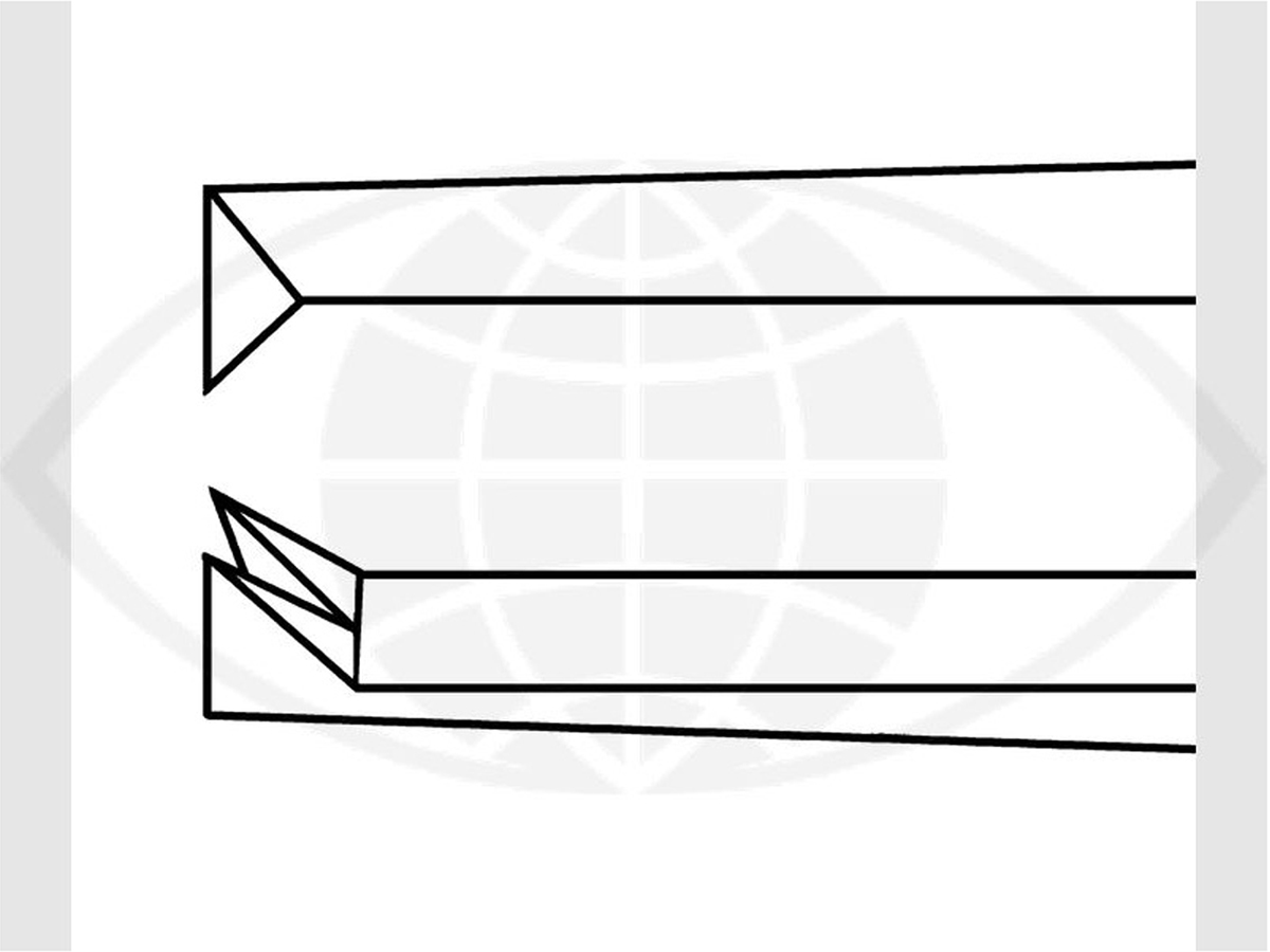 Elschnig Fixatiepincet - 10 cm - 1 st