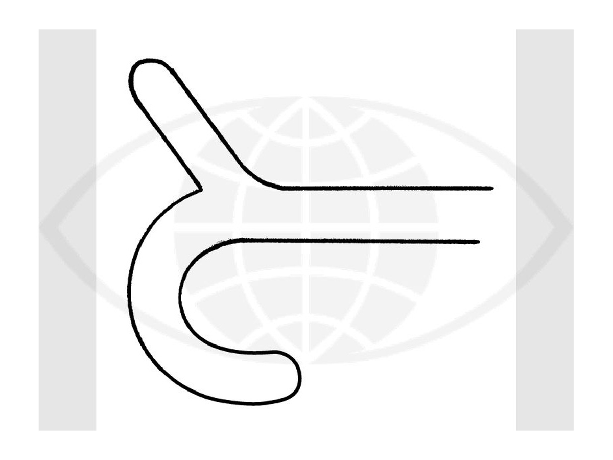 Rentsch Boat Hook Spatule pour l'iris - Droit - 1 pc