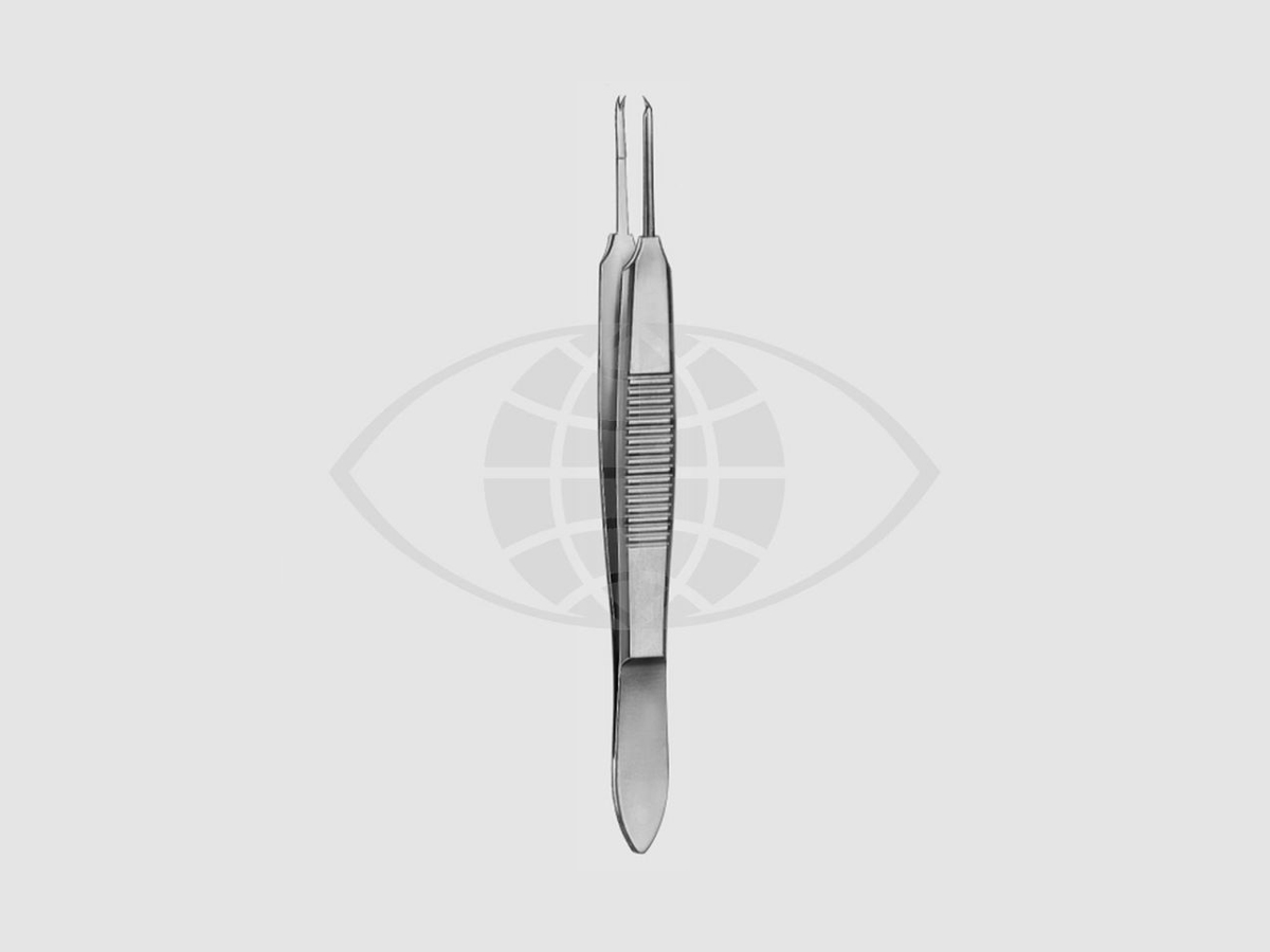 Castroviejo Hechtpincet - Recht - 0,5 mm - 9 cm - Met bindplatform - 1 st
