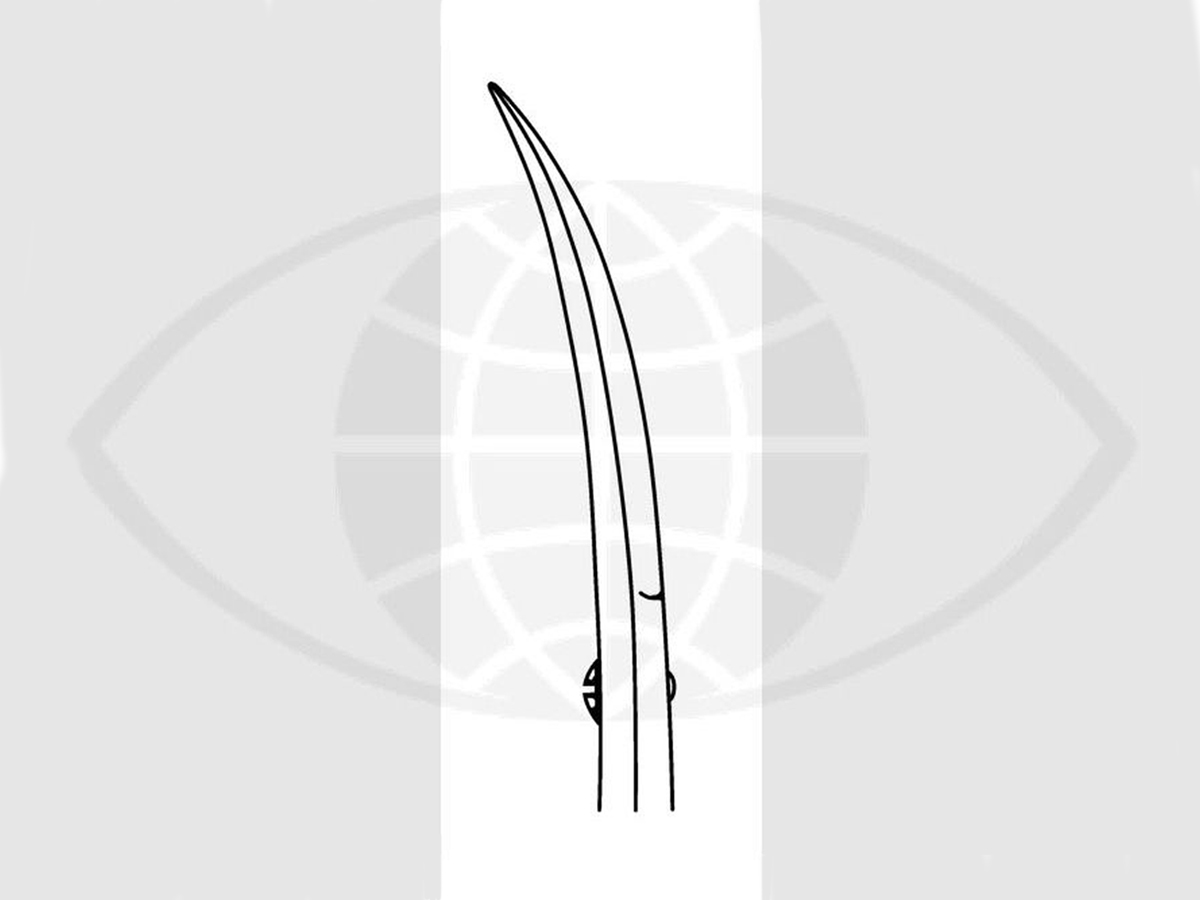 Irisschaar - Gebogen - 10,5 cm - 1 st
