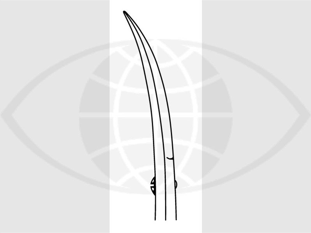 Oogschaar - Gebogen - 11,5 cm - 1 st