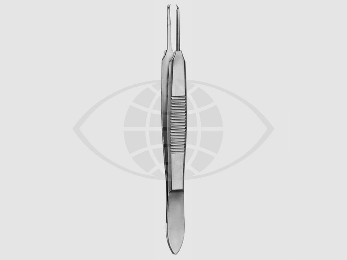 Castroviejo Pince à suture - Droit - à 1 x 2 griffes - Avec plateforme - 0,12 mm - 10 cm - 1 pc