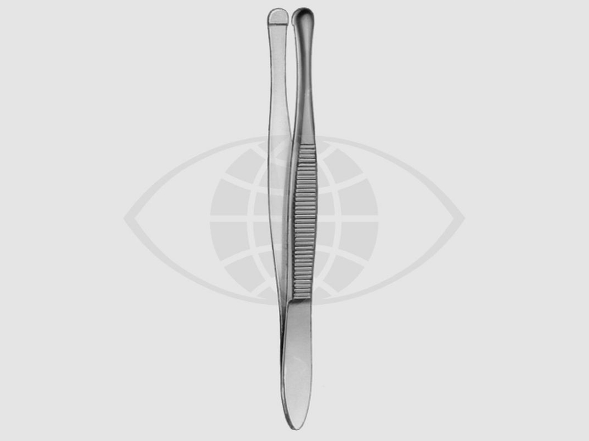 Beer Cilia pincet - 8 cm - 1 st
