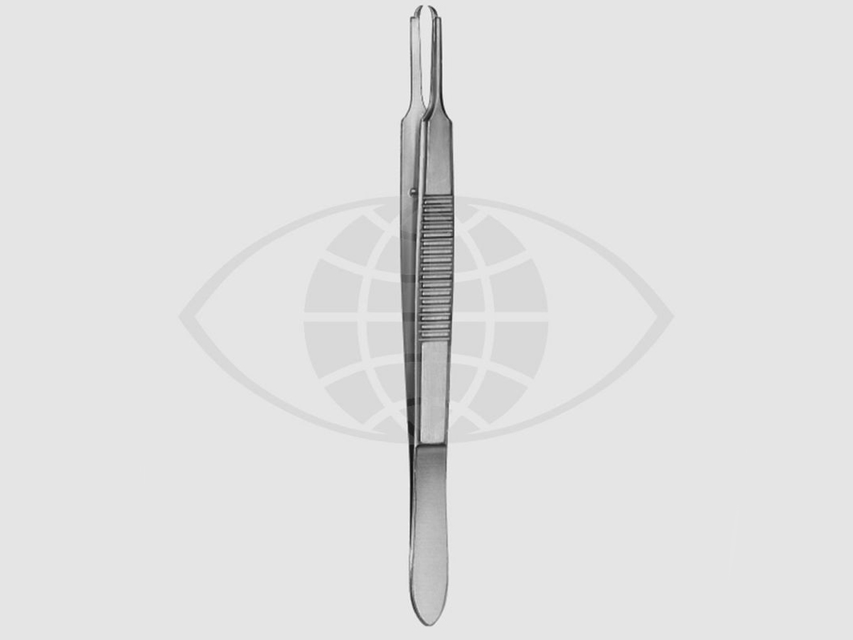 Castroviejo Pince à fixer - Droit - à 1 x 1 griffes - 9 cm - 1 pc