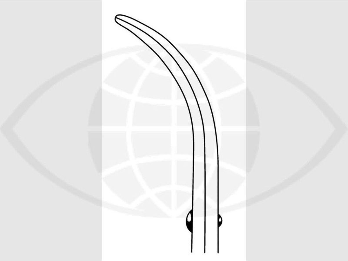 Enucleatieschaar - Volledig gebogen - 13,5 cm - 1 st