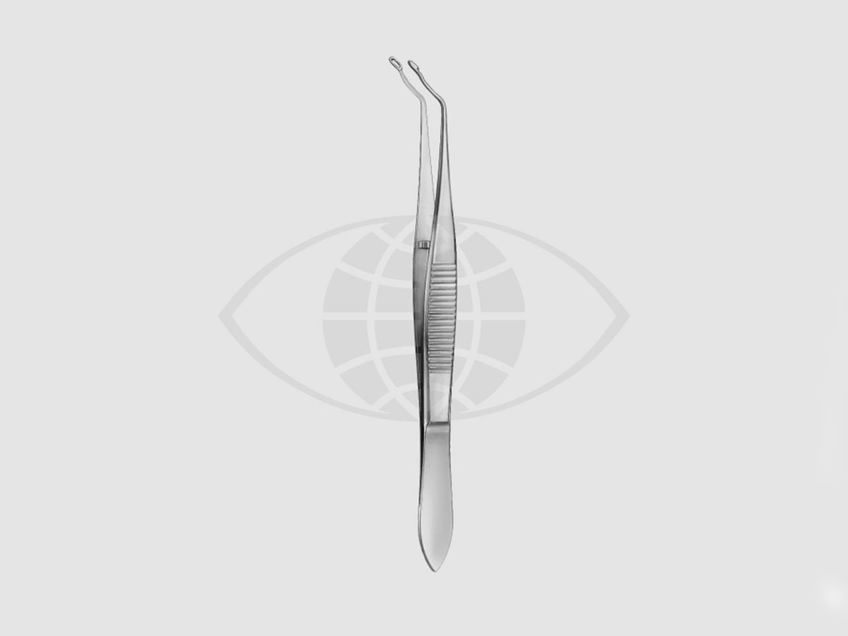 Arruga Capsulaire pincet – Nieuwe kromming – 10 cm – 1 st